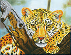 DIAMOND DOTZ - LEOPARD LOOK (14