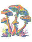 DIAMOND DOTZ - CHAMPIGNONS NÉON (17,1
