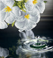 DIAMOND DOTZ - WATER DROPLET (13.8