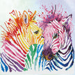DIAMOND DOTZ - maRainbow Zebras
