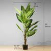 Dira Artificial Evergreen Potted Plant (Multiple Sizes)