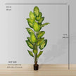 Dira Artificial Evergreen Potted Plant (Multiple Sizes)
