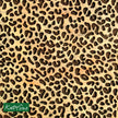 Leopard Print Silicone Mould