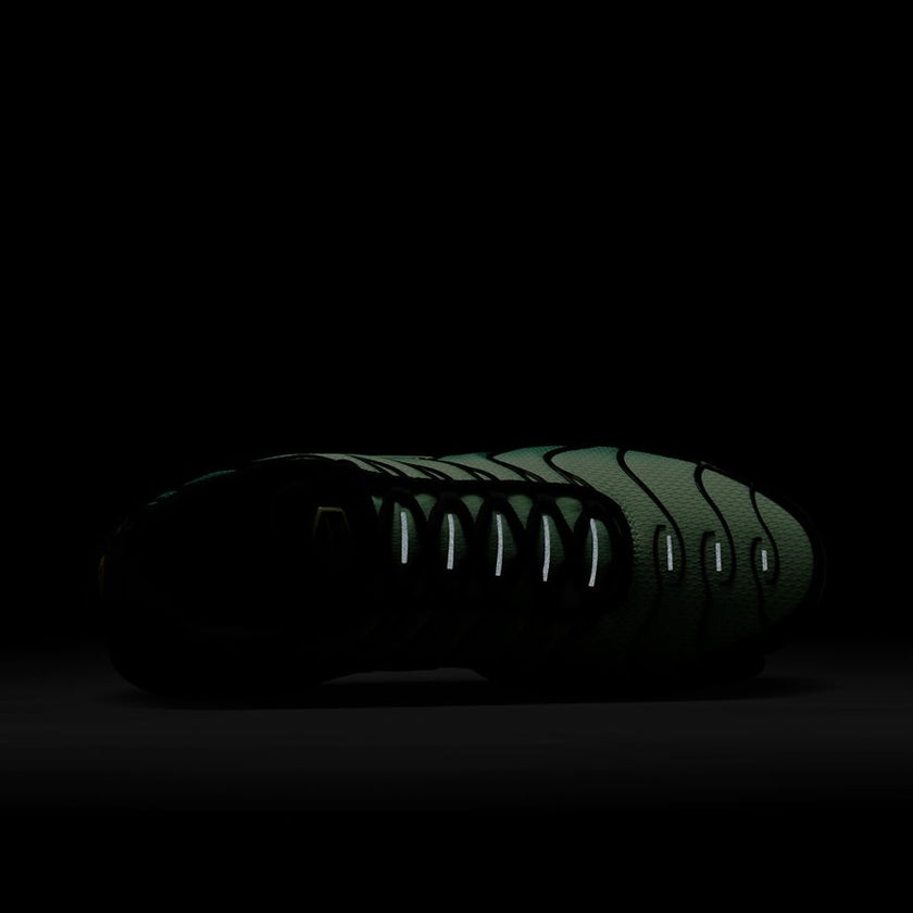 M Nike Air Max Plus DM0032-301