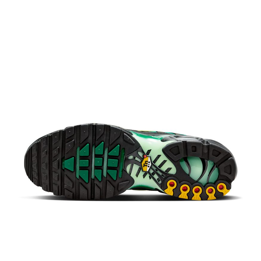 M Nike Air Max Plus DM0032-301