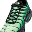 M Nike Air Max Plus DM0032-301
