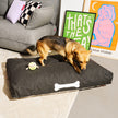 Doggielounge Olefin