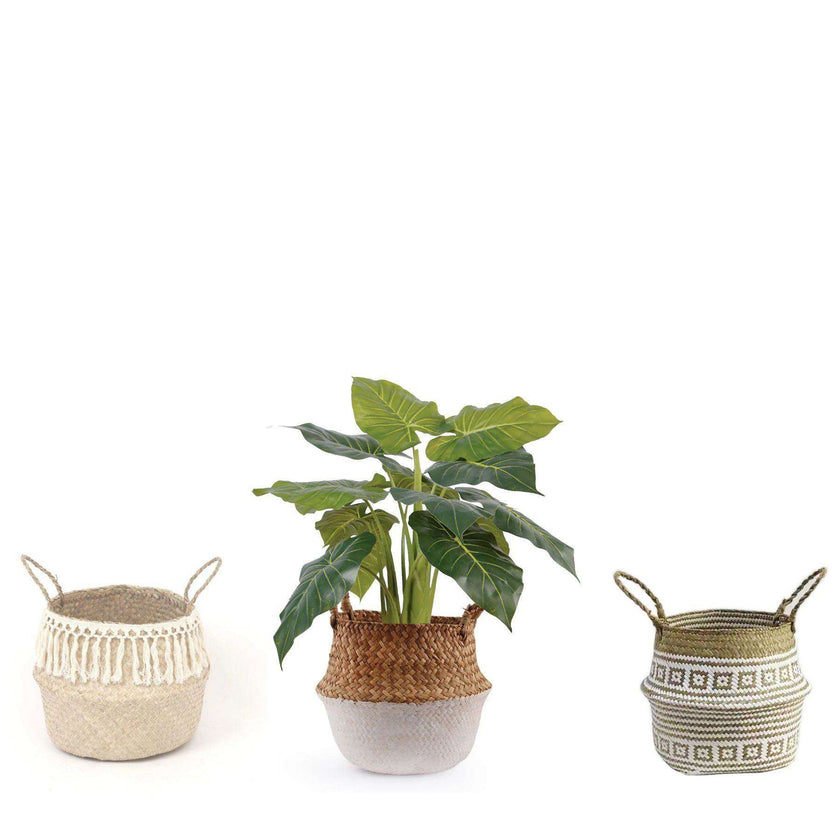 Dora Artificial Alocasia Potted Plant 28