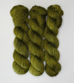 Fiddlehead Fern