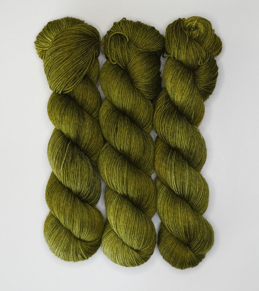 Fiddlehead Fern