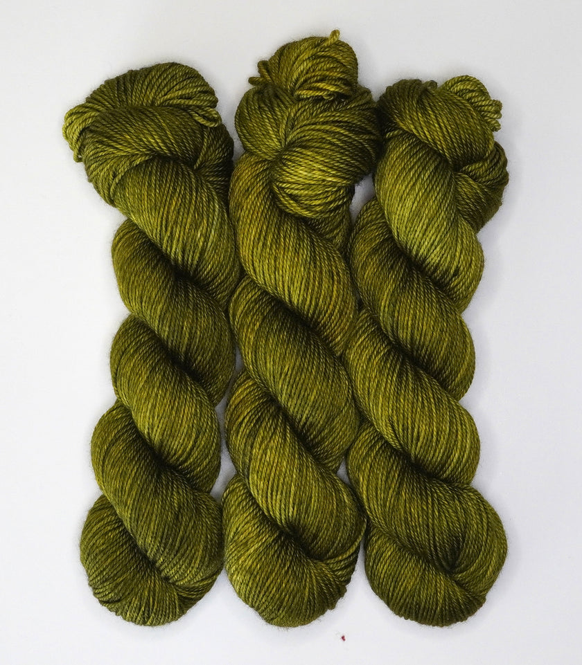 Fiddlehead Fern