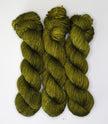 Fiddlehead Fern