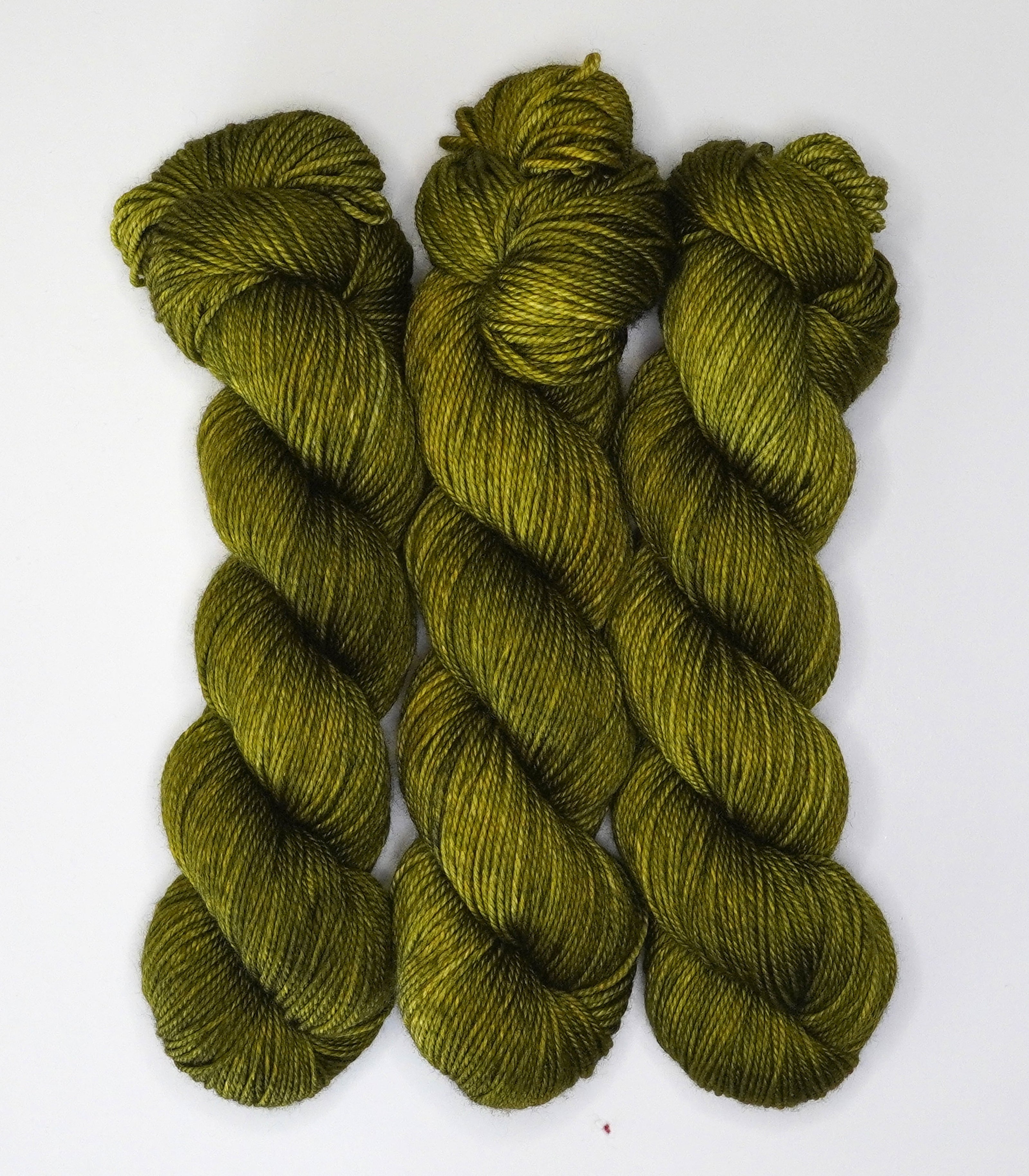 Fiddlehead Fern