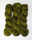 Fiddlehead Fern