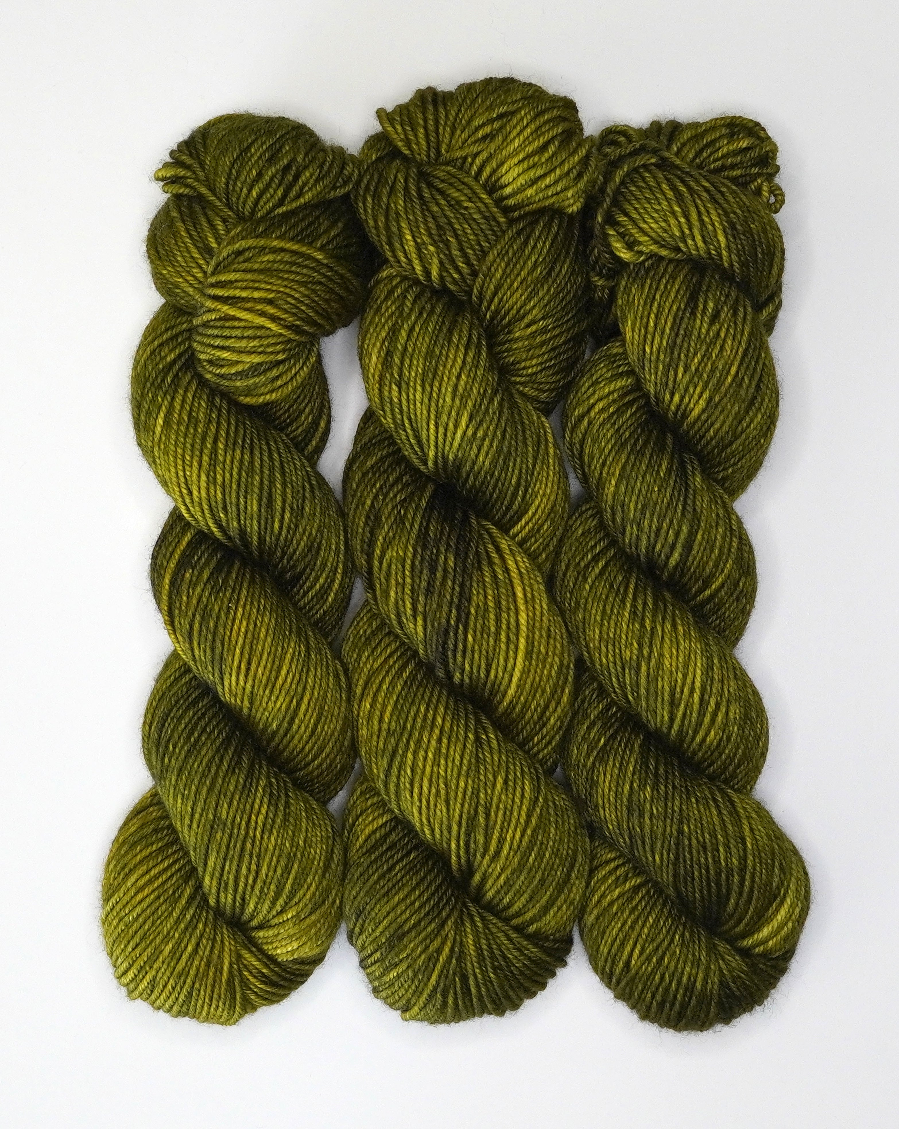 Fiddlehead Fern