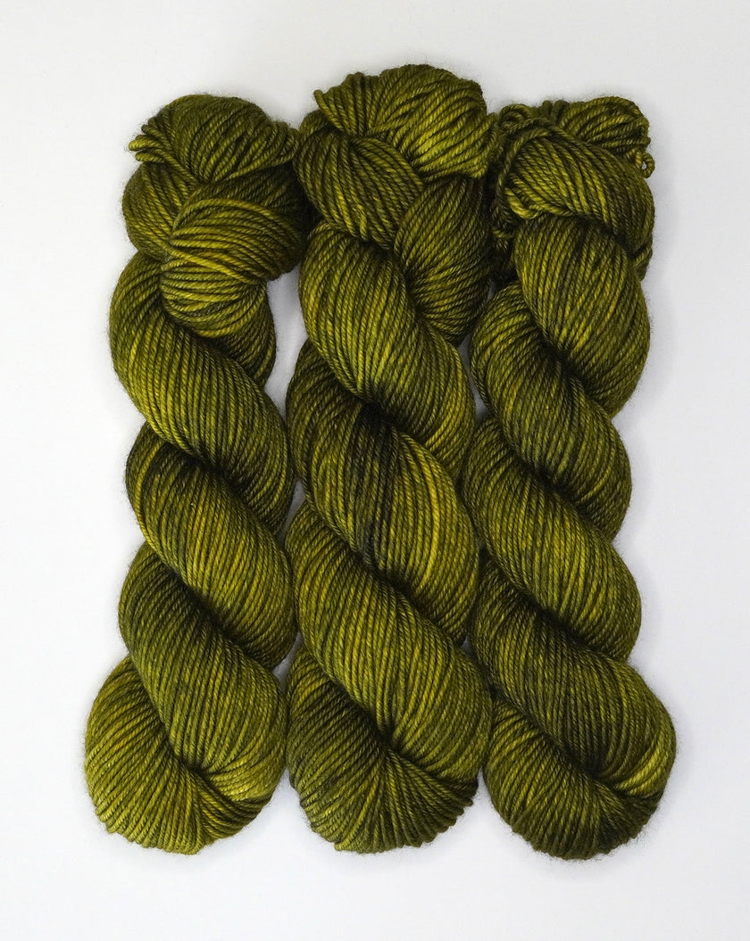 Fiddlehead Fern