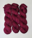 Fuchsia Nostalgia