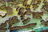 “Explore” – A Storybook Map