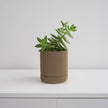 Hemlock Planter