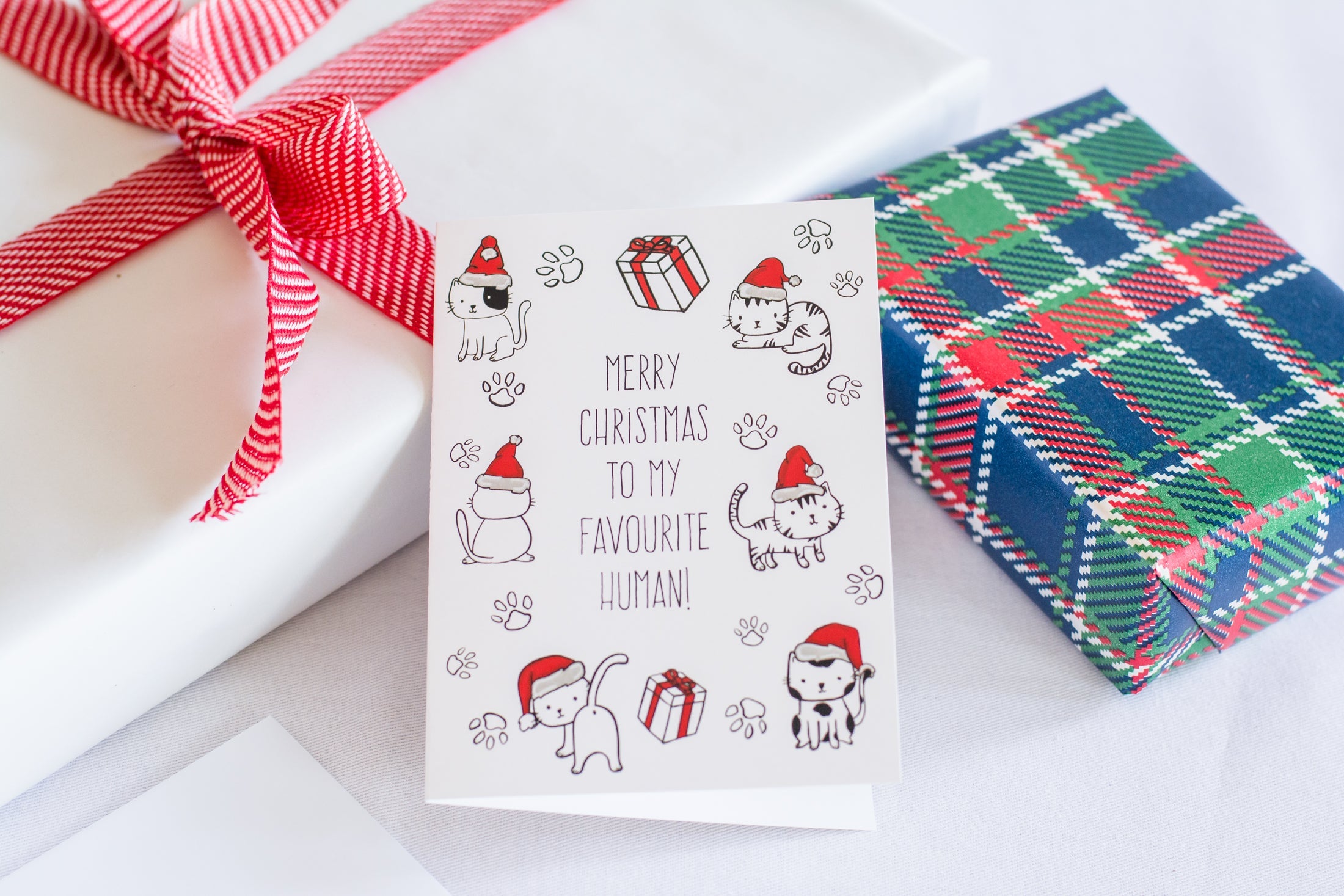 Merry Christmas To My Favourite Human! (Cat) - Greeting Card