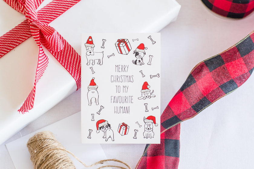 Merry Christmas To My Favourite Human! (Dog) - Greeting Card