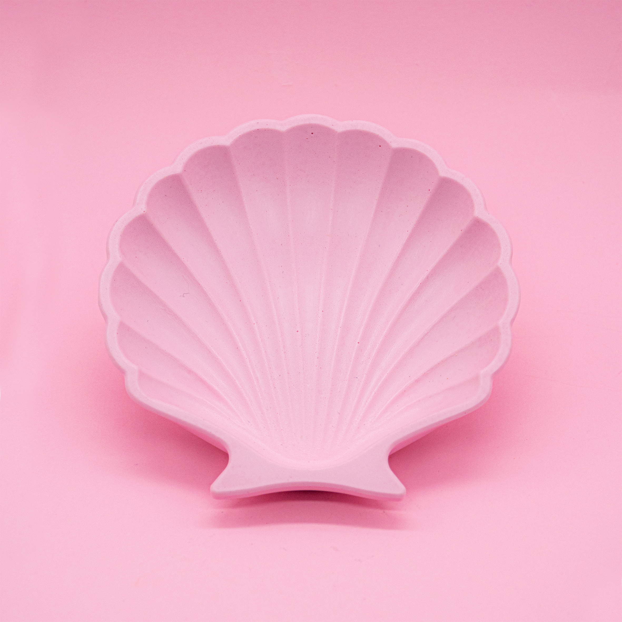 Shell Trinket Dish