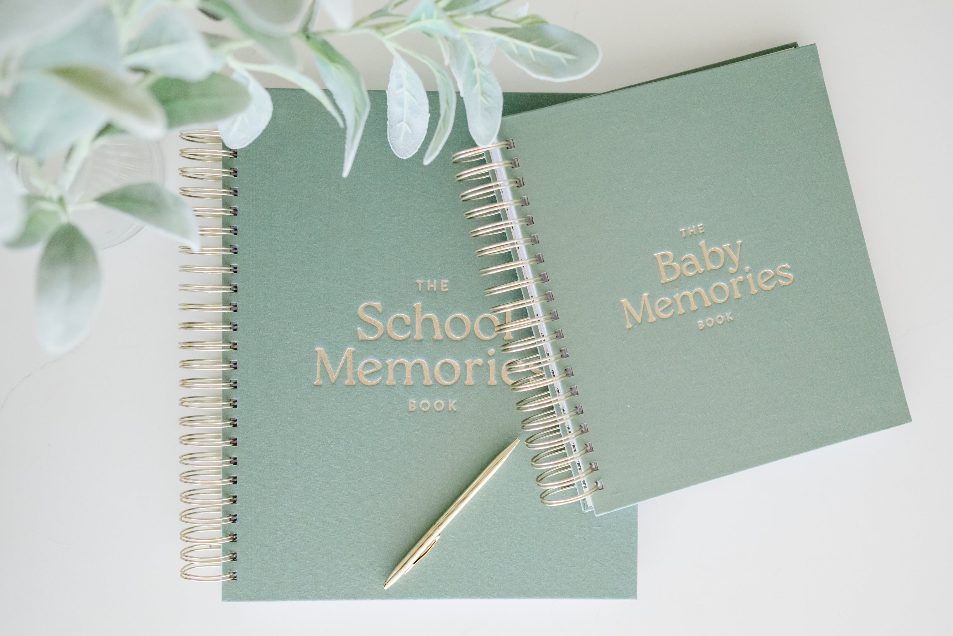 The Baby Book
