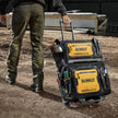 DEWALT DWST560107 18