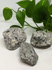 Dalmation Jasper Chunks