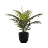 Plante artificielle - Palmier Intérieur Pot 5'', 20''H - Monarch (I 9501)