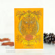 Creative Expressions Designer Boutique Collection Owl Be There For Twit Twoo A6 Clear Stamp Set