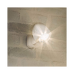 Lampe de sécurité Ring Spotlight pour l'extérieur, détecteur de mouvement intégré (5B11S8-BEN0)