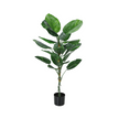 Plante artificielle - Dieffenbachia Intérieur Pot 5'', 54''H - Monarch (I 9519)
