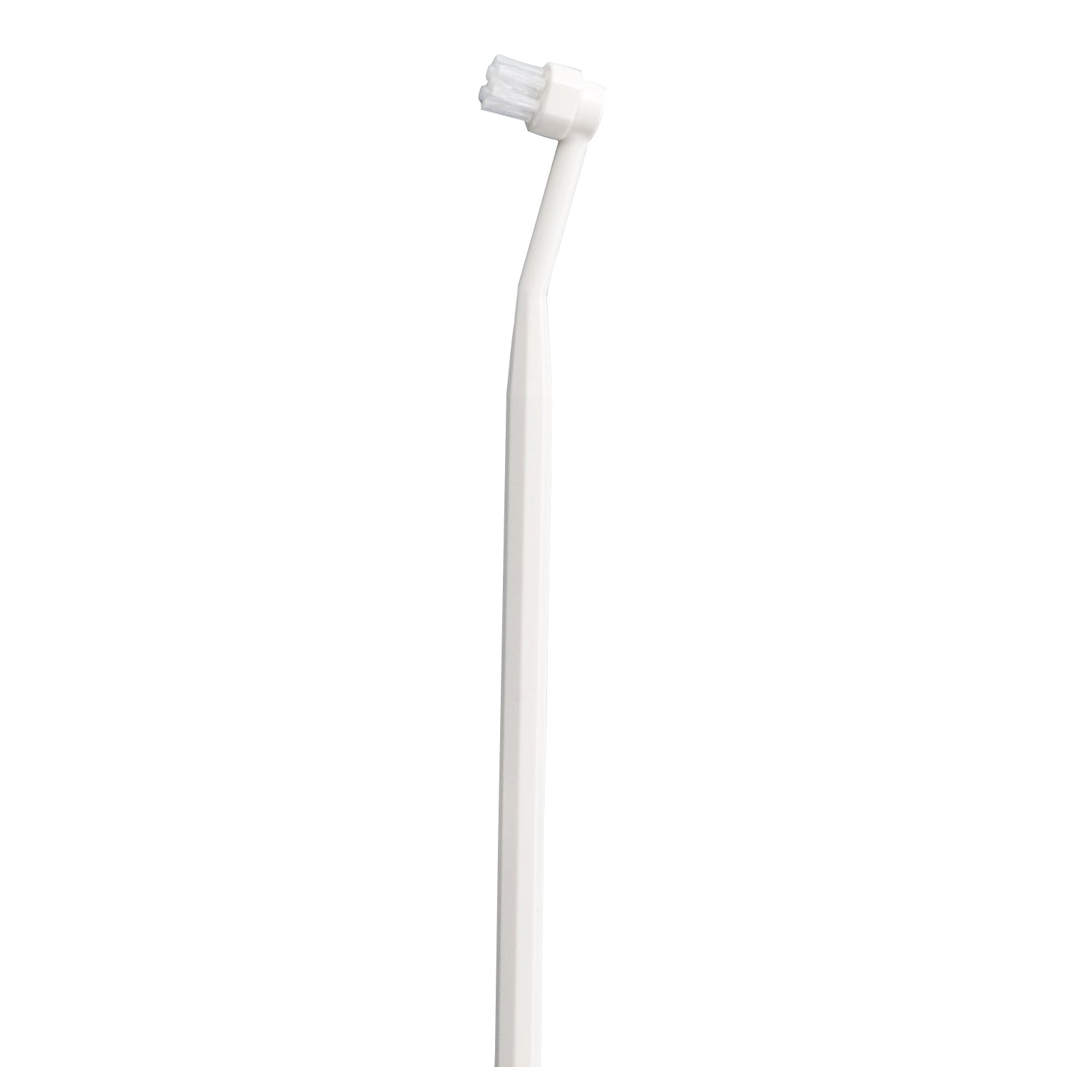 mind up - Dog's Toothbrush Detachable Round Head (Made in Japan)