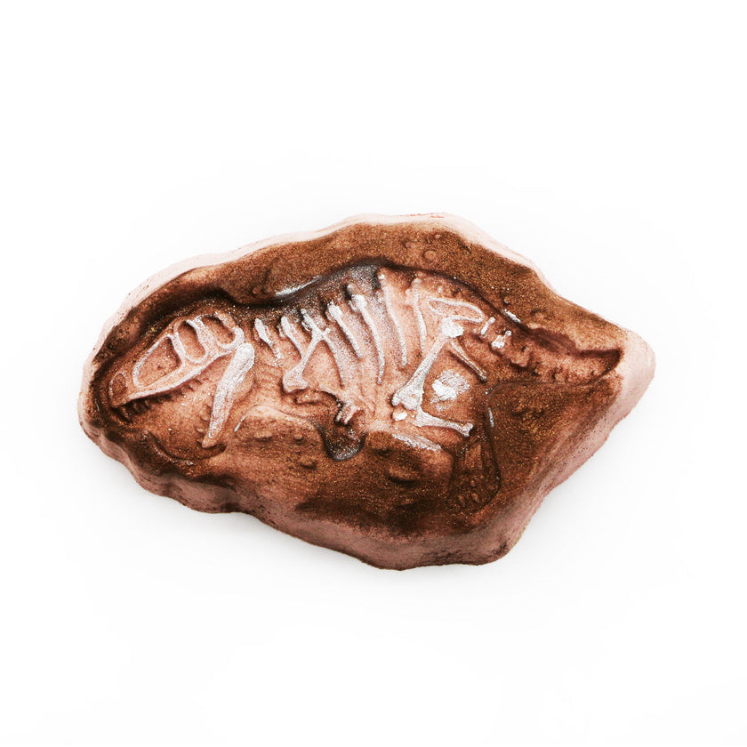 Dino Fossil