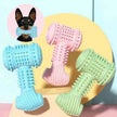 Rubber Dog Chew Toy – Durable Teeth Cleaning Puppy Toy for Aggressive Chewers