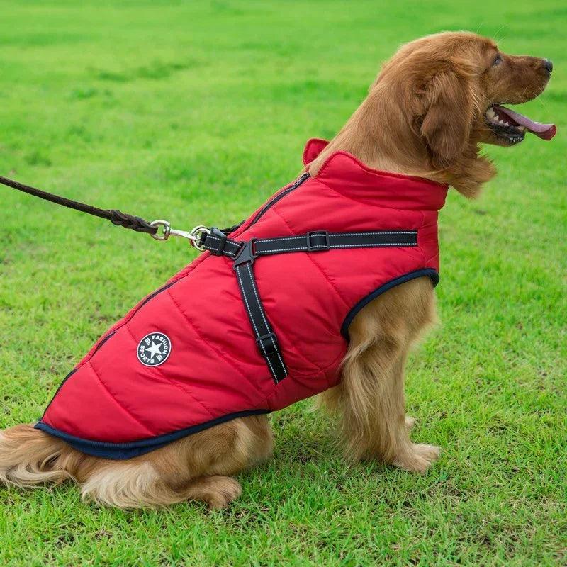 Dog Winter Vest with Integrated Harness – Waterproof Padded Pet Jacket (XS–5XL)