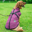 Dog Winter Vest with Integrated Harness – Waterproof Padded Pet Jacket (XS–5XL)