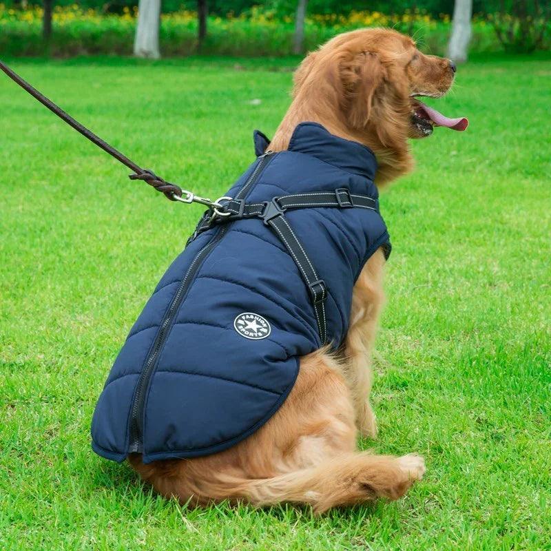 Dog Winter Vest with Integrated Harness – Waterproof Padded Pet Jacket (XS–5XL)
