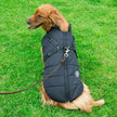 Dog Winter Vest with Integrated Harness – Waterproof Padded Pet Jacket (XS–5XL)