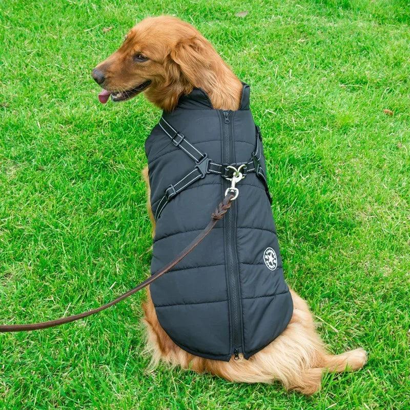 Dog Winter Vest with Integrated Harness – Waterproof Padded Pet Jacket (XS–5XL)