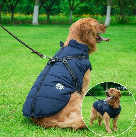 Dog Winter Vest with Integrated Harness – Waterproof Padded Pet Jacket (XS–5XL)