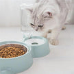 Dog Bowl with Automatic Water Refill Bottle — Stainless Steel Pet Feeding Station