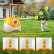 Automatic Dog Ball Launcher Toy