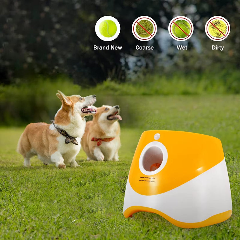 Automatic Dog Ball Launcher Toy