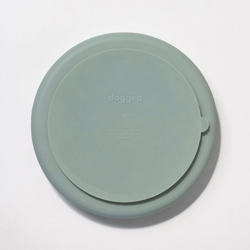 circulo slow feeder bowl - seafoam