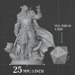 Dragonborn Paladin | Warhammer | 5e