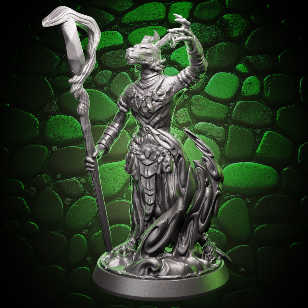 Dragonborn Wizard | Pyromancer | 5e