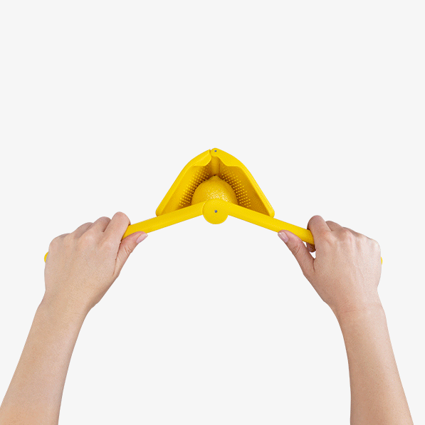 Dreamfarm - Fluicer Lemon (Set of 12)