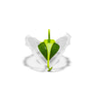 Dreamfarm - Savel Clear/Green